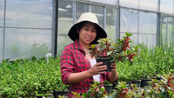 Gardener woman holding small plant pot and looking at camera in greenhouse.