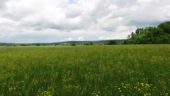 Vast Horizon and Open Fields with Grass Swaying with the Wind