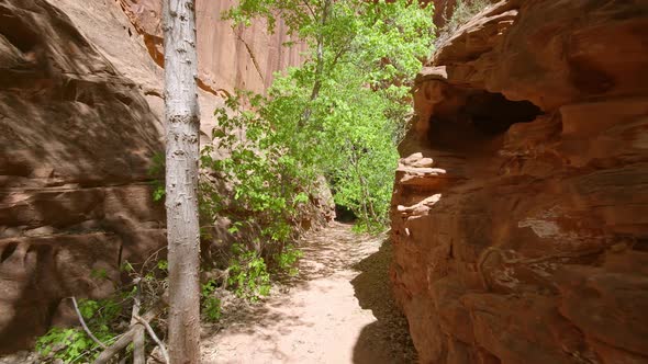 Hiking through narrow canyon in the Escalante desert