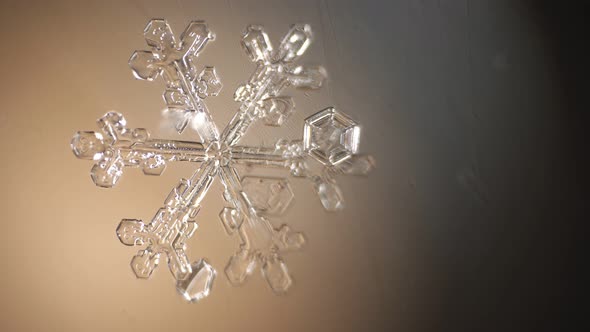 Gorgeous Snowflake is Melting