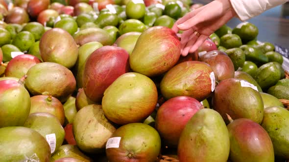 A Woman's Hand Picks Ripe Juicy Mangoes in the Supermarket