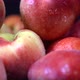 Sweet wet red Peaches and Nectarines - VideoHive Item for Sale