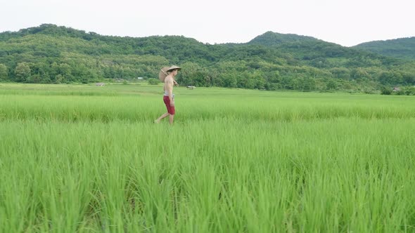 Farmer Walking Through The Rice Field