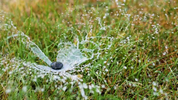 Sprinkler Irrigation System Working in a Green Park, Watering Lawn and Trees. Close Up