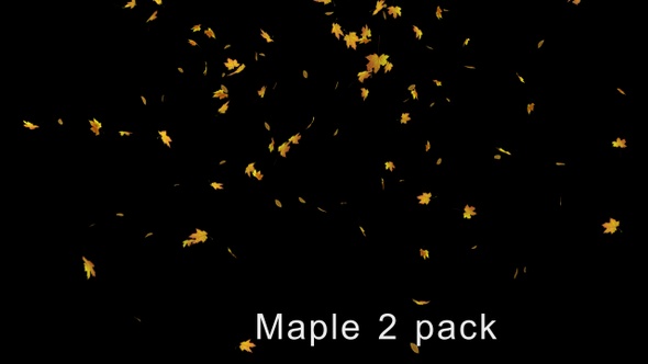 Falling Maple Leaves 2 pack