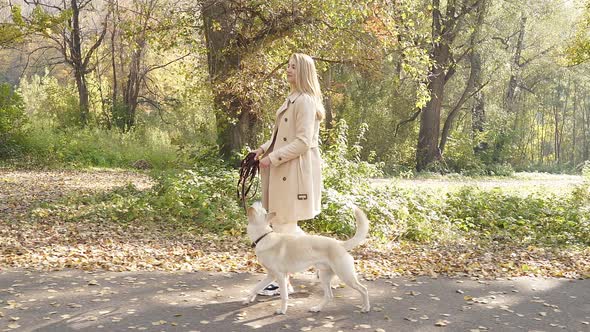 Pretty Woman in the Woods on a Sunny Autumn Day Walking with Her Beloved Pet Holding a Leash in Her