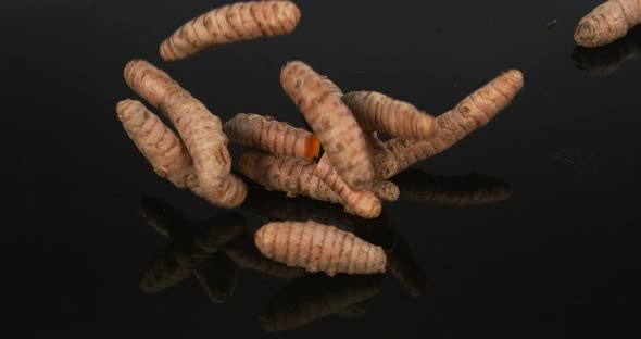 Turmeric, curcuma longa, Roots falling against Black Background, Indian Spice, Slow Motion 4K