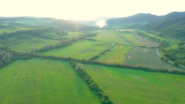 Aerial View of Countryside Vibrant Green Hills