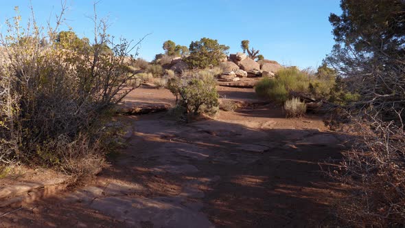 Aerial Camera Movement In Arid Sandy Red Stone Desert With Shrubs And Snags