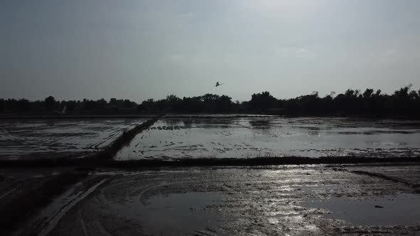 Drone flight over flooding farm fields after extreme rain.Weather deterioration,Nature Disaster and