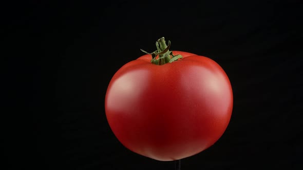 Fresh red tomato green stem