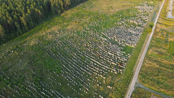 Aerial Shot City Brody. Jewish Cemetery. Ukraine