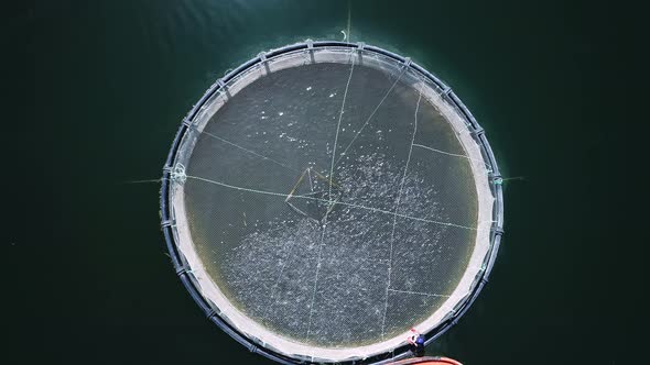 Fish Farm in Lake