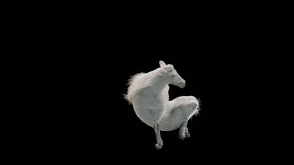 47 White Horse Dancing HD