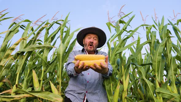 Happy Elderly Worker Looking at Camera in a Cornfield Man Holds a Young Crop of Corn