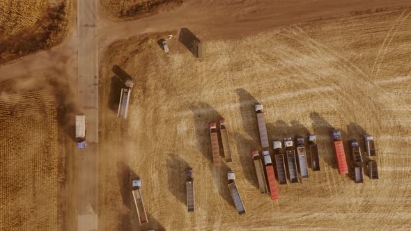 Aerial View Truck with Grain Moving in the Field