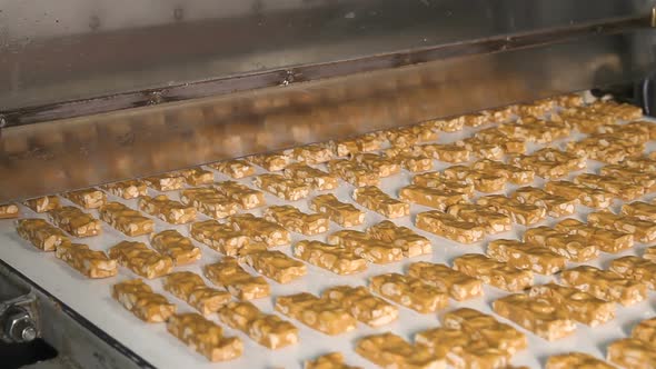 Bars of Nougat with Peanuts on the Production Line