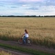 Girl with a Guy Riding a Bike Along a Wheat Field - VideoHive Item for Sale