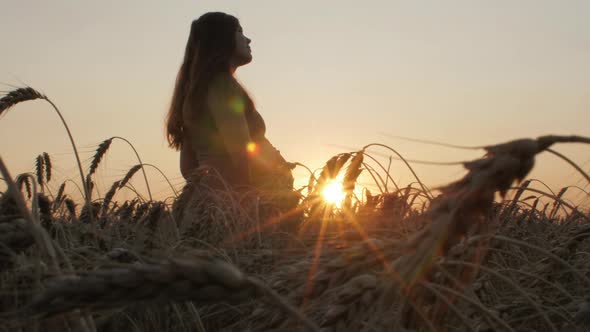 silhouette figure of happy pregnant red-haired young woman in dress standing in ripe wheat field