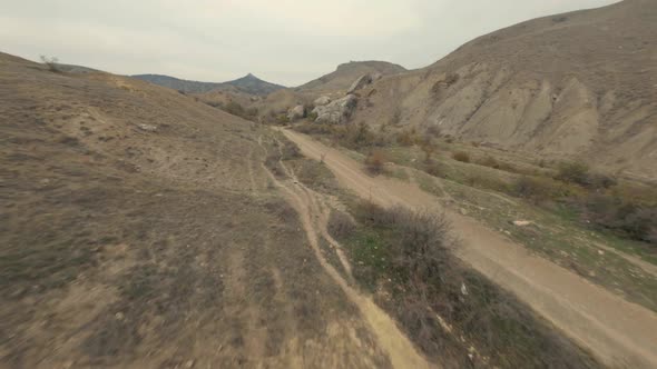 Brown Rocky Canyon with Road and Wild Horses on Coast