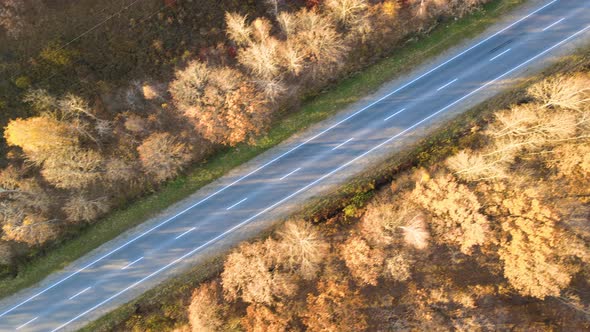 Aerial View of Intercity Road with Fast Driving Cars Between Autumn Forest Trees at Sunset