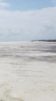 Vertical Video of Low Tide in the Ocean Near the Coast of Zanzibar Tanzania