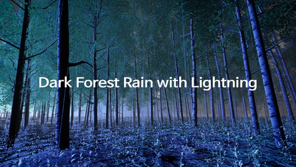 Dark Forest Rain with Lightning