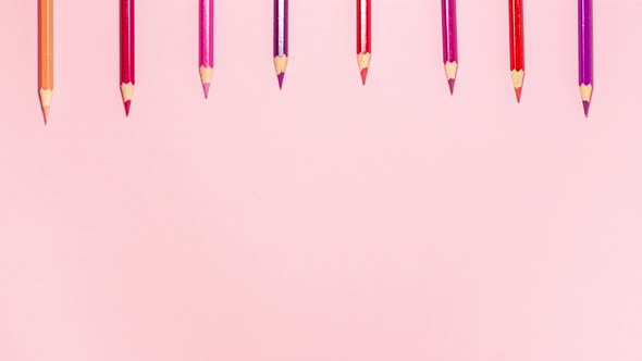 Red, pink, purple, and orange pencils extend up two at a time at the top flat lay top view on pink alt