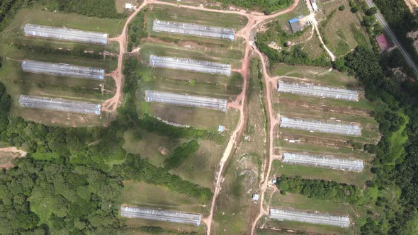 Aerial view of chicken farm house in Alor Gajah