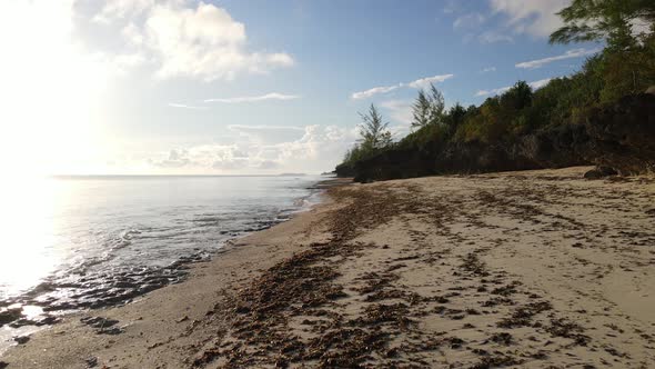 Beach on Zanzibar Island Tanzania Africa