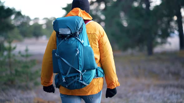 Back View Hiker Man Goes with Big Backpack Through Dense Green Forest