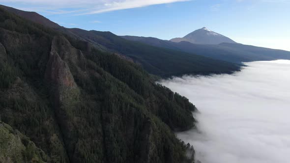 Forest in the clouds and Teide volcano, drone shot, Tenerife, Canary Islands