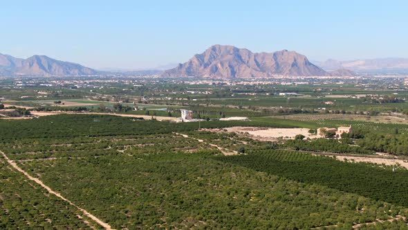 Mediterranean Green Citrus Farm Fields Near Algorfa, Spain With Mountains In Background.