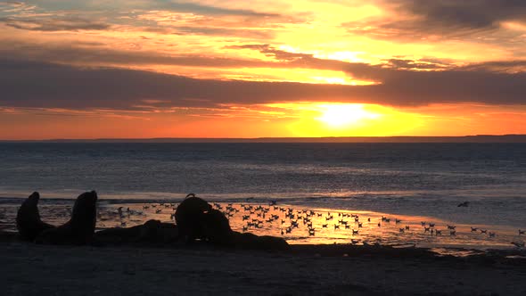 Sunset in Atlantic ocean.Shot whit sony a6400.