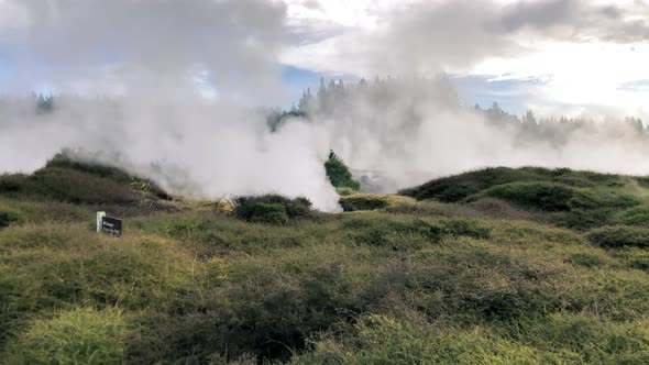 Powerful Geysers of Rotorua New Zealand