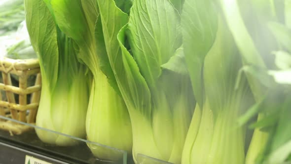Fresh Pak Choi Chinese Cabbage In Supermarket