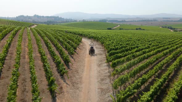 Dolly in aerial view of a transporter tractor driving through the middle of two grape vines in a vin