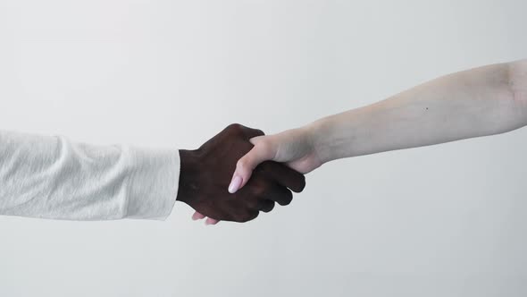Multiracial Handshake African Man Caucasian Woman