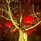 Money Tree Lantern Particle - VideoHive Item for Sale