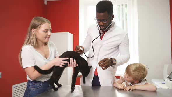 Vet and Owners Calm Down Frightened Cat