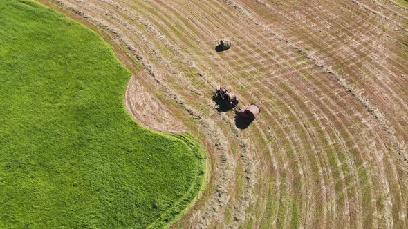 The Tractor Stands in the Field Collects the Mown Hay in Bales Aerial View