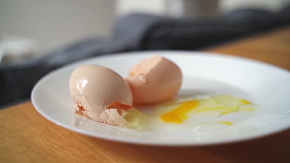 Slow Motion Egg Falling and Cracking on White Plate