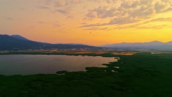 Flock of Birds on the Lake at Sunset