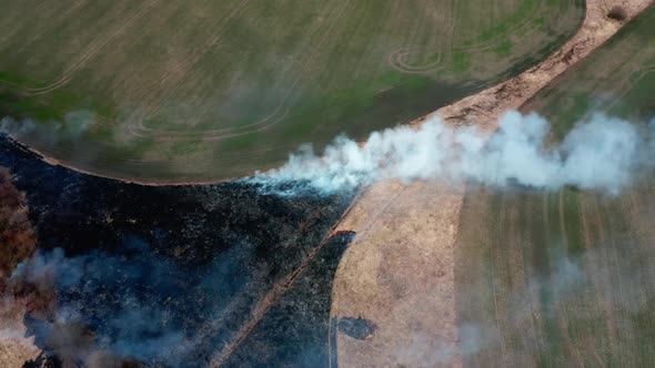 Flying above Nature Conflagration in Australia. Burning Old Dry Grass. Flyover Ecology Catastrophe.