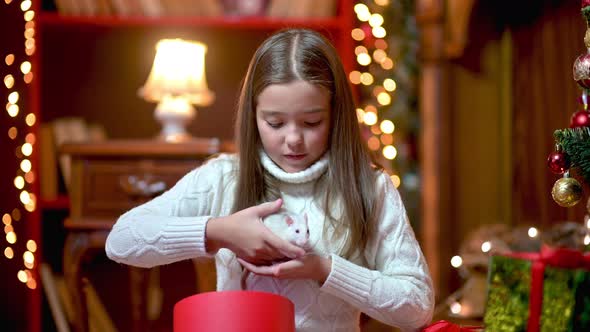 Cute girl sitting in the office on the floor near the Christmas tree