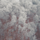 Aerial Of Ice Frozen Forest In Mountains - VideoHive Item for Sale