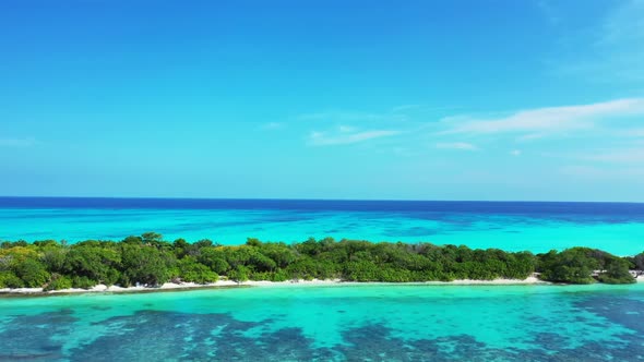 Aerial drone shot seascape of beautiful sea view beach wildlife by blue ocean with white sand backgr