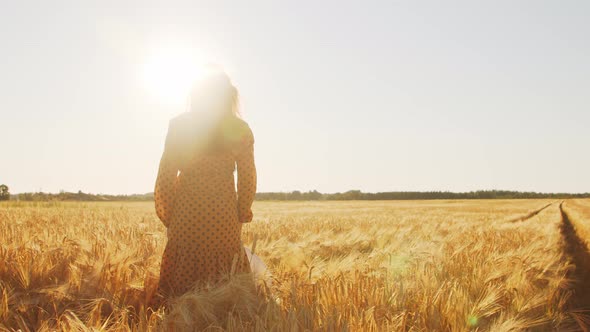 Pregnant woman in the rays of the sunset in the field