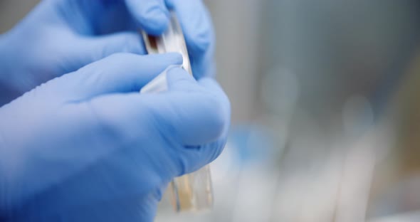 Scientist Taping Petri Dish at Laboratory alt