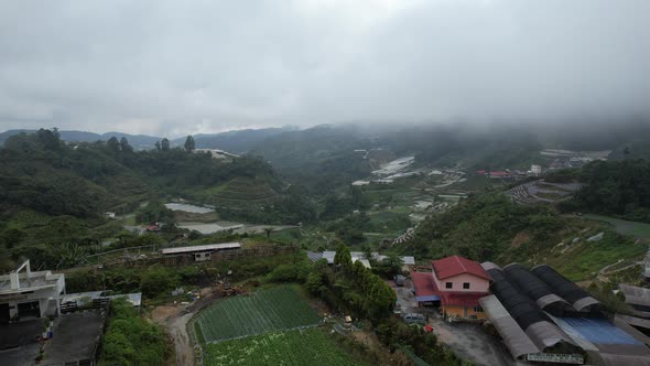 Cameron Highlands, Pahang Malaysia